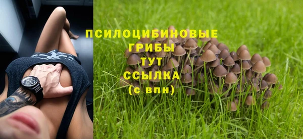 МДПВ Арсеньев