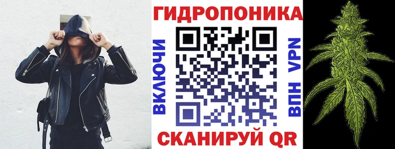 Шишки марихуана план  Купить  Беломорск 